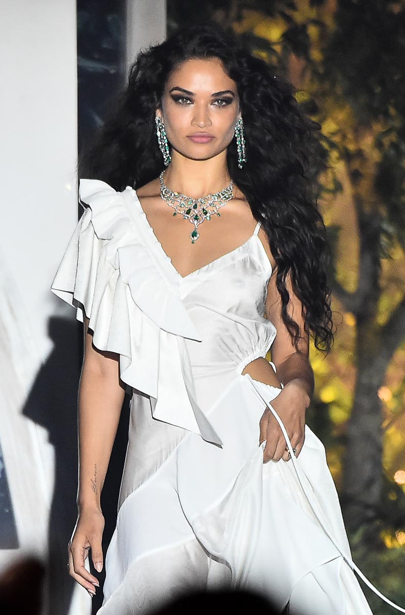 Gala amFAR – Leilão